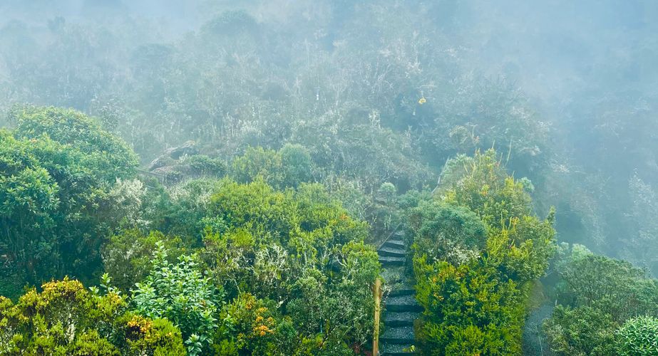 Colombia Nieuw 16 Colombia Nieuw 16